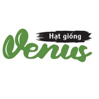 hatgiongvenus
