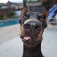 Сергей Петров