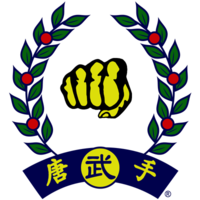 martialartnoob