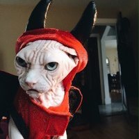23m666kk