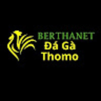 Đá Gà Trực Tiếp Thomo