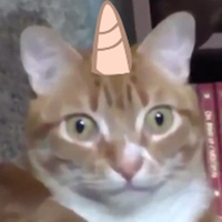 PonyEB