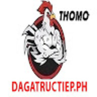 ĐÁ GÀ TRỰC TIẾP PH
