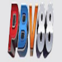 Pbv88 baby