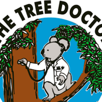 The Tree Doctor