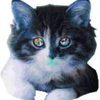 Александр Лабекин
