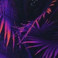 PIECE