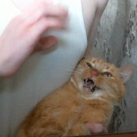 Роман Брянский