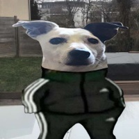 Zoomy