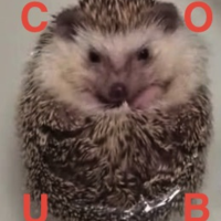 Твой гениальный COUB