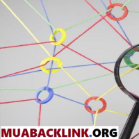 Mua backlink ORG