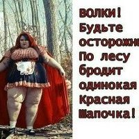Advokat_Terrazini
