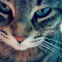 Misha