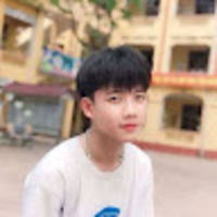 Lô Đức Anh
