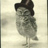 PereNamNam