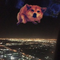 ThatDogOutside