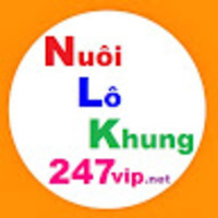 Nuôi Lô Khung 247 Vip - Website Soi cầu 247, Dự đoán Lô đề chính xác 100