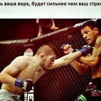 Давид Пасика