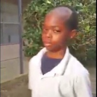 WheelchairDogs