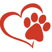 Puppy Love Tee Shirts