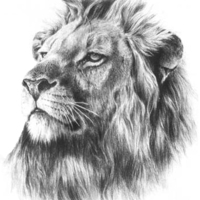 DreamOn