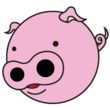 Coub - Pigs