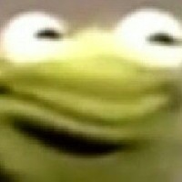 The_real_kermit
