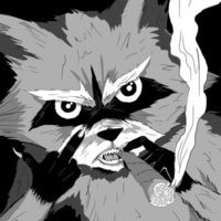 Angry Raccoon