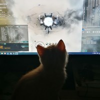 coub viewer