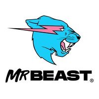 MrBeast Official Store