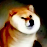 Doge