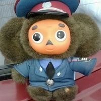 Михаил Гриняев