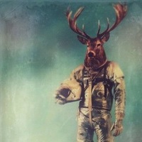 Space Deer