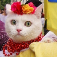 Давид Метревели
