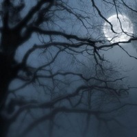 Alexey Pisarev