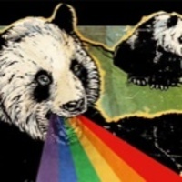 J. Panda