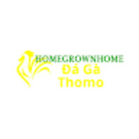 Đá Gà Trực Tiếp Thomo
