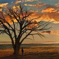 Александр Власов