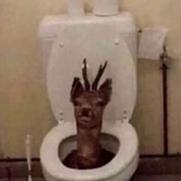 wettnoodle 
