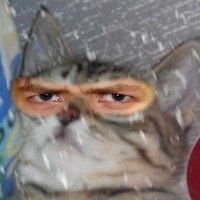 Ваня Адоня