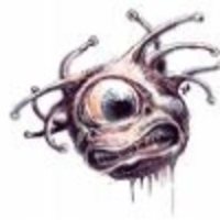 Beholder