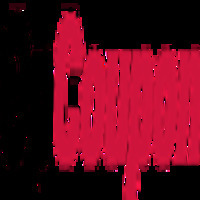 Coupon & Discount Codes