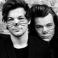 hazzaandcats