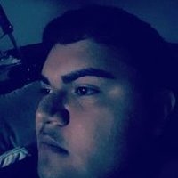 Phelipay_treejoe