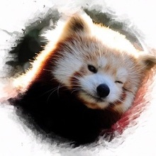 Coub profile picture for @powering