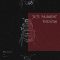 The Pacient