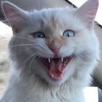 Василий Батарейкин