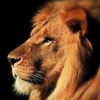 Никита Казаков