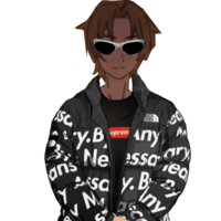VLANIK 2.0