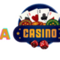 casinom826
